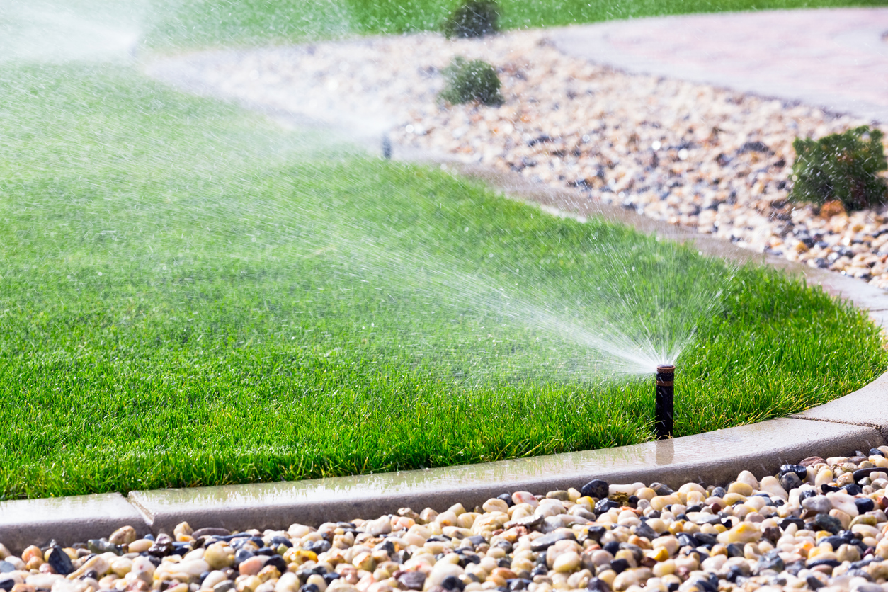 Gallery Sprinkler 1749045139 Jpg